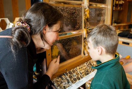 Bee School by Beechworth Honey