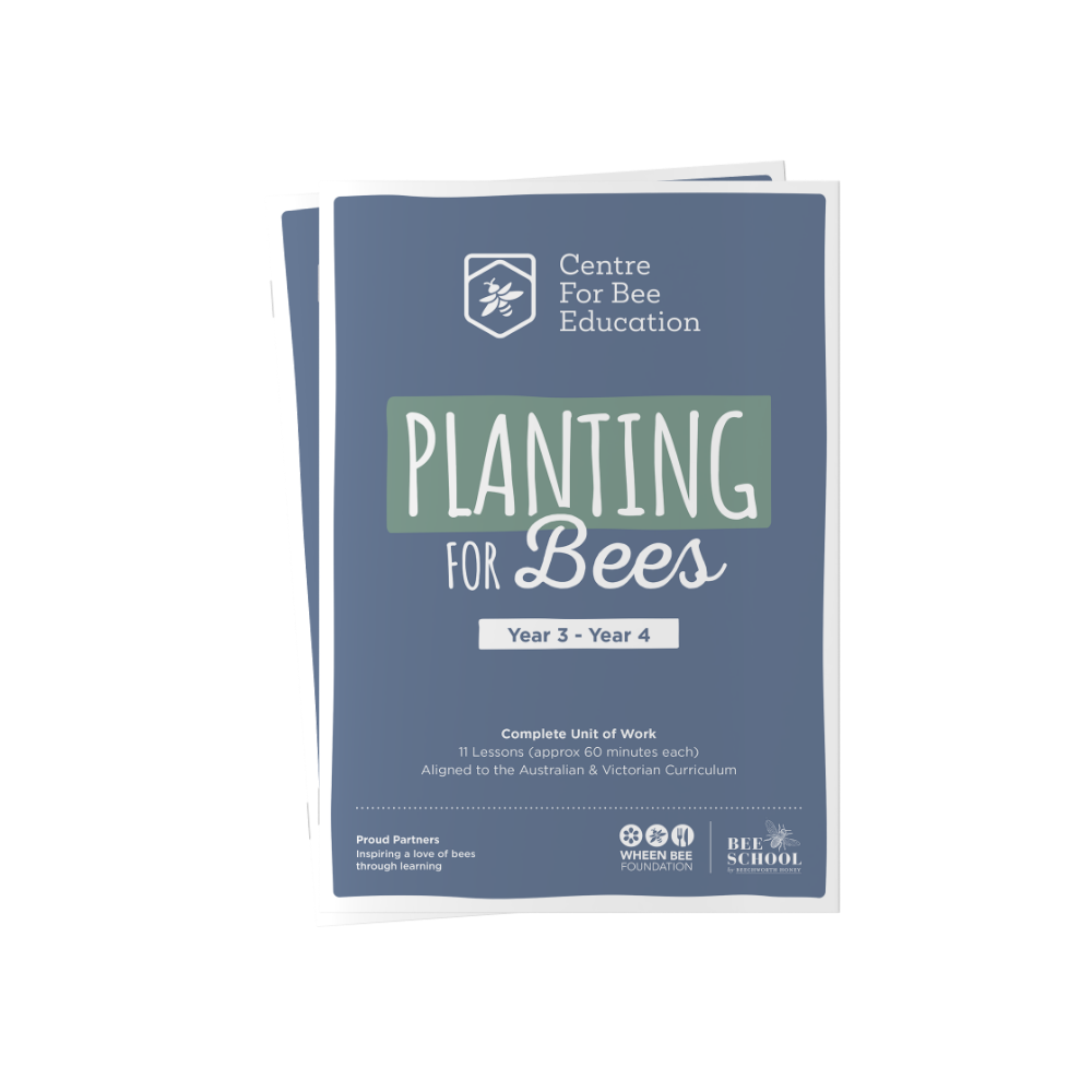 Planting for Bees Year 3 - Year 4