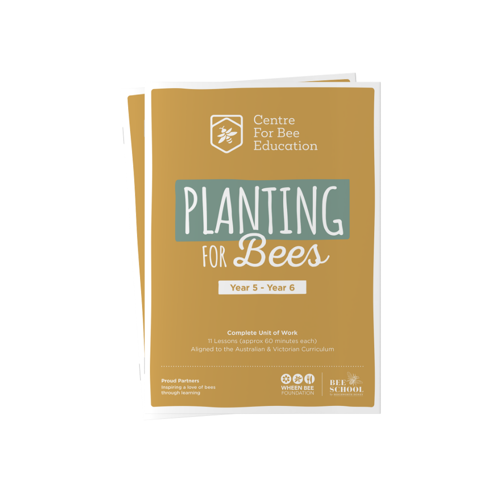 Planting for Bees Year 5 - Year 6
