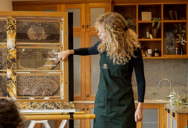 Beechworth Honey Experiences