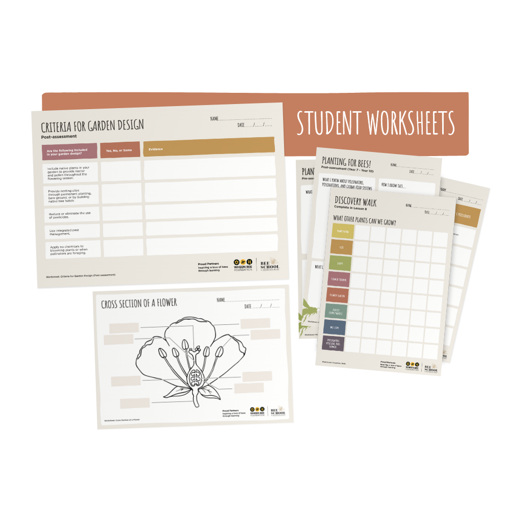 Planting for Bees Year 7 - Year 10