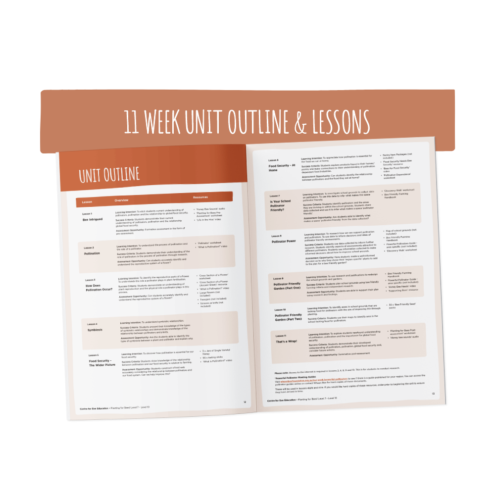 Planting for Bees Year 7 - Year 10