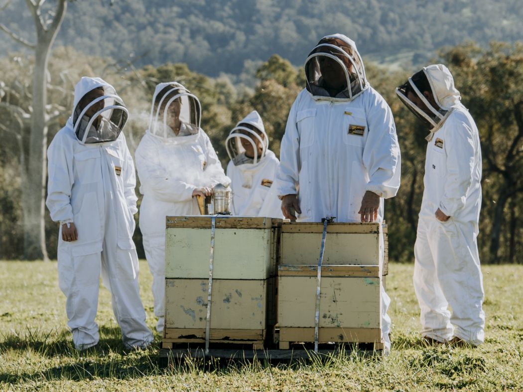 Beechworth Honey Traceability