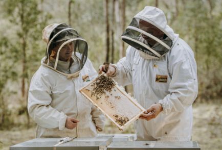 Our Beekeepers